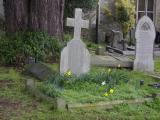 image of grave number 807556